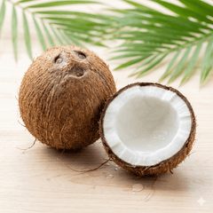 Fresh Semi - Husked Coconuts - coconut